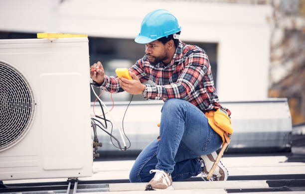 Best Electric Panel Repair  in Albert Lea, MN